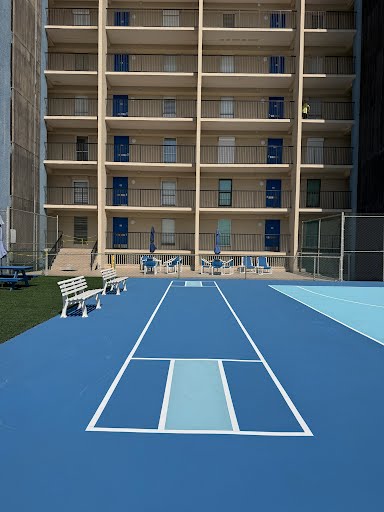 Shuffleboard & Court Detail